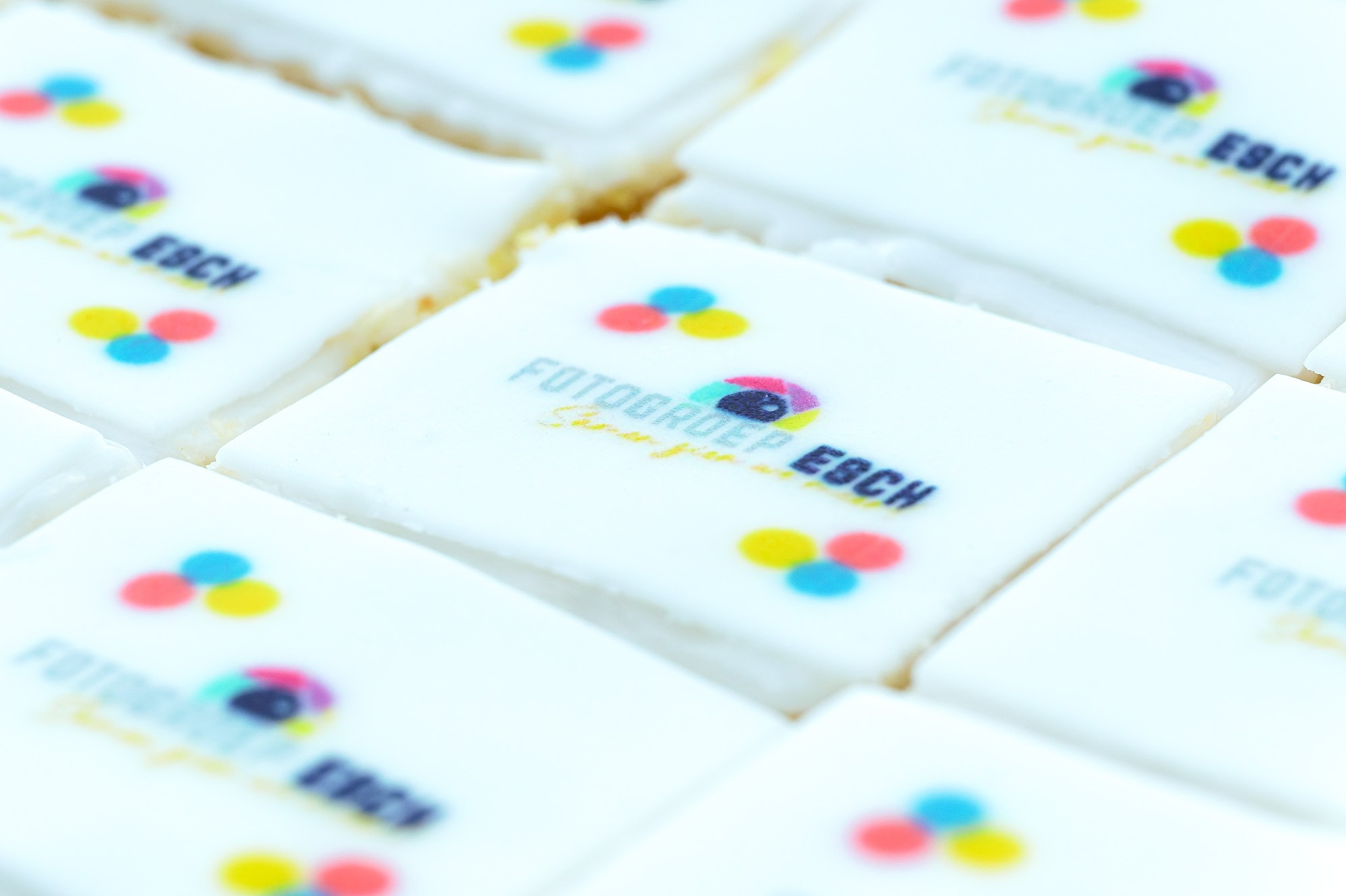 Fotogroep Esch - Oprichting 14 januari 2026