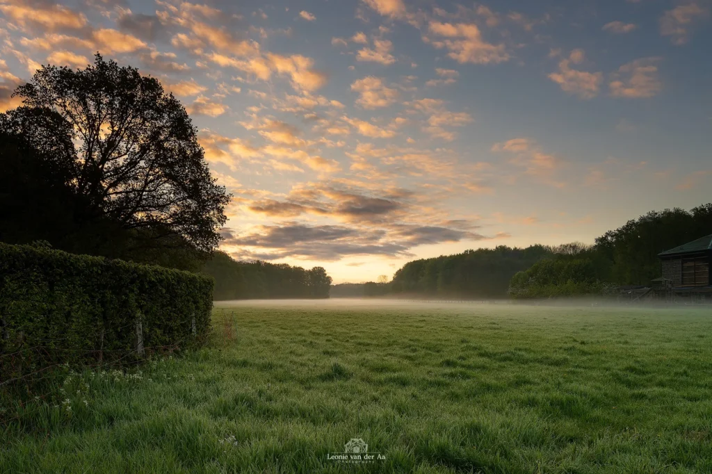 Leonie Engels | Photography | Landschap Fotografie | Amsterdamse bos