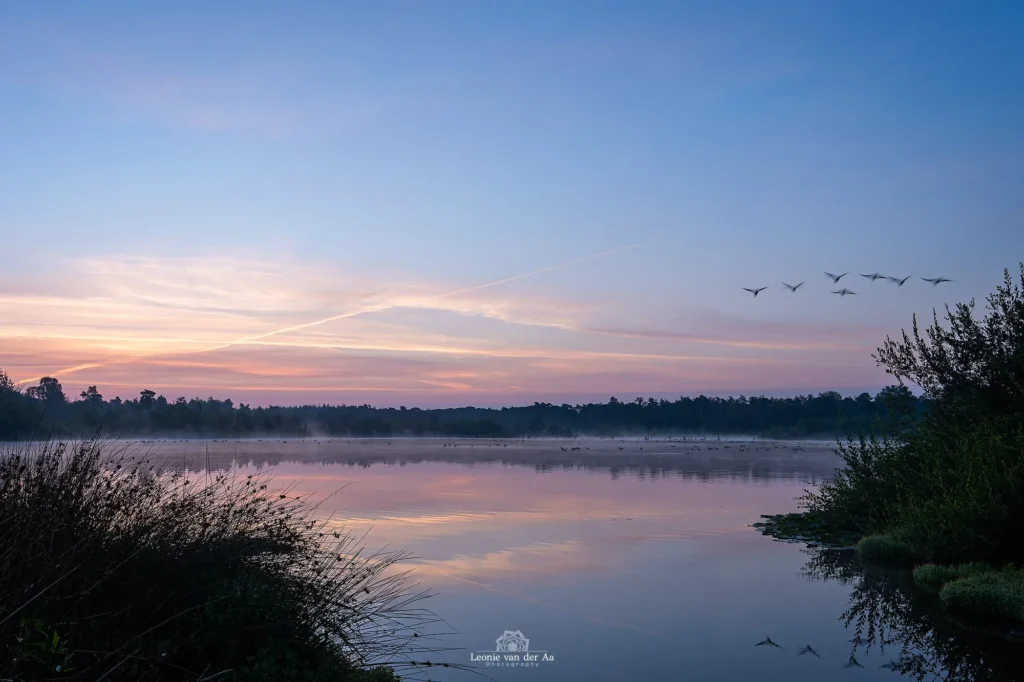 Leonie Engels | Photography | Landschap Fotografie | Zonsopkomst Vresselsbos