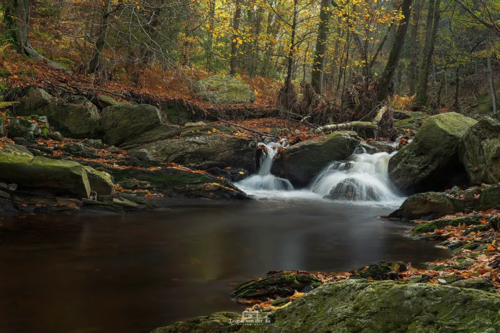Leonie van der Aa | Photography | Ardennen La Hoegne