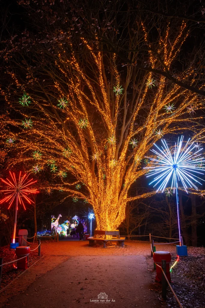 Leonie van der Aa | Photography | Diversen | Beekse Bergen Light Safari Boom